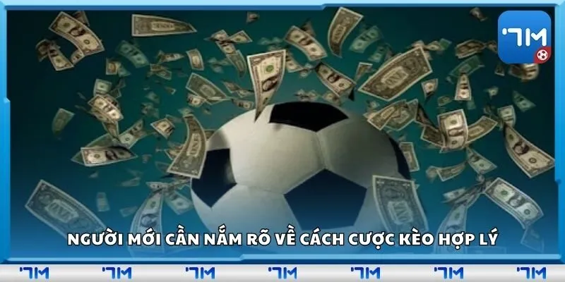 Người mới cần nắm rõ về cách cược kèo hợp lý