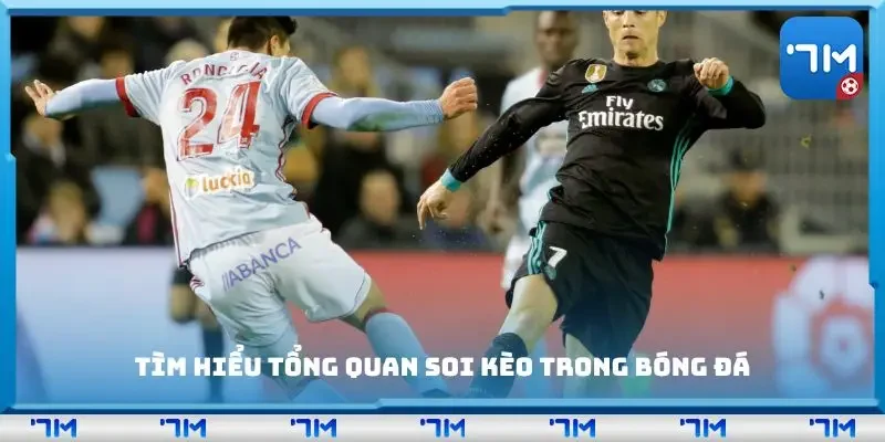 Khám phá tổng quan về soi kèo và các yếu tố ảnh hưởng