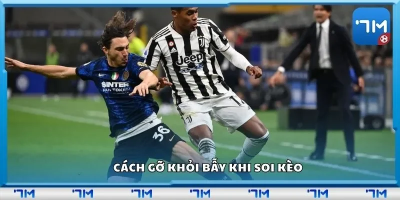 Cách gỡ khỏi bẫy khi soi kèo